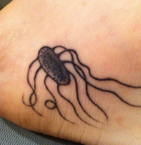 Salmonella tatoo