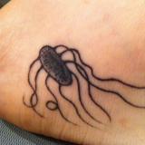 Salmonella tatoo